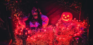 Im Halloween-Haus in Mettmann geht es gruselig zu. Foto: privat
