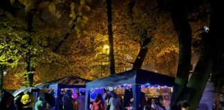 Nachbarschaftsfest mit stimmungsvoller Beleuchtung So sah der Lichterwald im vergangenen Jahr aus. Foto: Stadt Erkrath