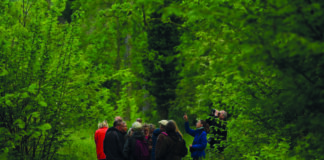 Kreis Mettmann: Umweltbildung für alle Teilnehmer an einer vogelkundlichen Exkursion. Foto: Kreis Mettmann