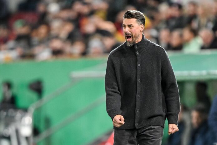 Der Frust muss raus: Sandro Wagner schreit am Spielfeldrand. 