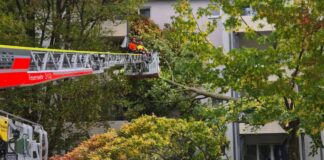Oft musste die Feuerwehr wegen umgestürzte Bäume ausrücken.
