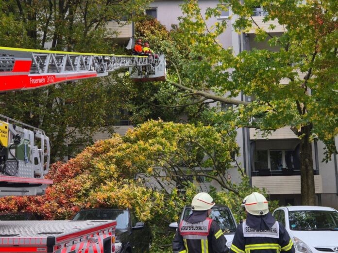 Oft musste die Feuerwehr wegen umgestürzte Bäume ausrücken.