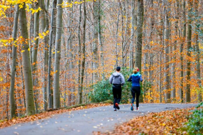 Wetter in Nordrhein-Westfalen Am Wochenende lädt freundliches Herbstwetter zu Aktivitäten an der frischen Luft ein. (Archivbild)