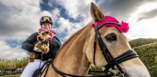 Hunden und Pferden gehört Bühne – Wettbewerb im Dog Dancing Hunde- und Pferdefans können sich drei Tage lang zu Themen wie Gesundheit und Pflege informieren.