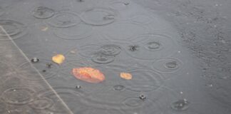 Zum Wochenstart viel Wind und Regen in NRW Regen tropft in eine Pfütze mit Herbstlaub.