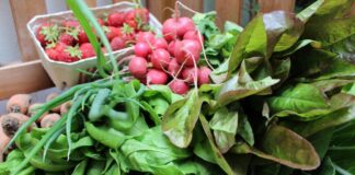 Mettmanner Tafel findet neues Zuhause Gemüse liegt bereit. Foto: pixabay