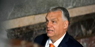 Der Grünen-Europaabgeordnete Daniel Freund kritisiert Orban häufig - etwa für rechtsstaatsfeindliche Politik.