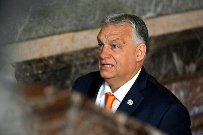 Der Grünen-Europaabgeordnete Daniel Freund kritisiert Orban häufig - etwa für rechtsstaatsfeindliche Politik.