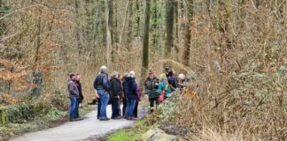 Wandern im Wald ist mit Quitz noch schöner, Bild: Alexander Heinz