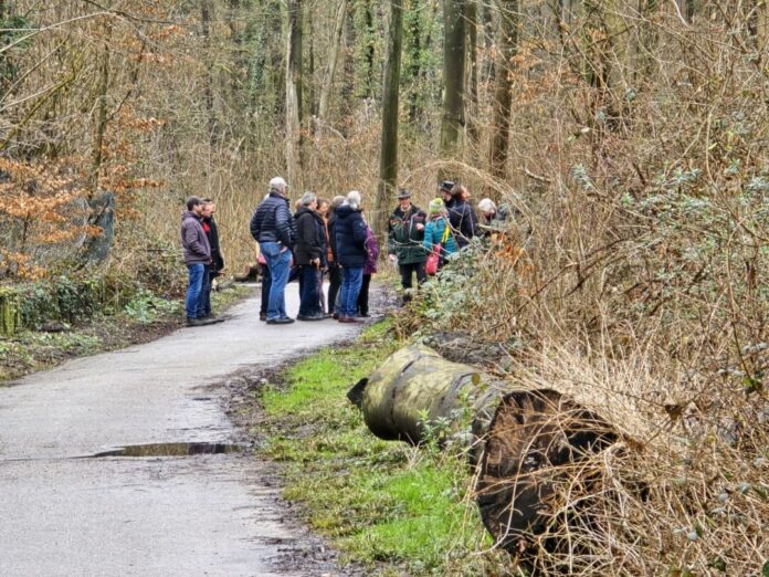 Wandern im Wald ist mit Quitz noch schöner, Bild: Alexander Heinz
