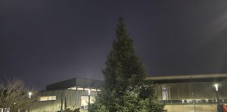 Die Vorbereitungen laufen, noch sind die Bäume in Ratingen ohne Beleuchtung, aber das ändert sich bald ! Bild: Der Baum vor dem Rathaus, Alexander Heinz