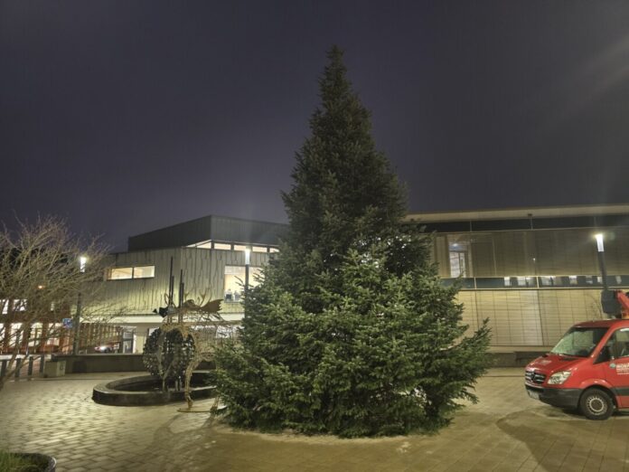 Die Vorbereitungen laufen, noch sind die Bäume in Ratingen ohne Beleuchtung, aber das ändert sich bald ! Bild: Der Baum vor dem Rathaus, Alexander Heinz