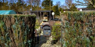 Ministerin zeichnet Kleingartenanlagen aus Ministerin Gorißen hat mehrere Kleingärten ausgezeichnet. (Symbolbild)