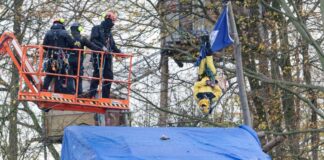 Mit einer Hebebühne nähern sich Polizisten einem Aktivisten, der kopfüber in einem Baum hängt.