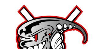 Logo der Ice Aliens, Bild: Ice Aliens Ratringen