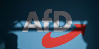 Kolping: Zugehörigkeit unvereinbar mit AfD-Mitgliedschaft Wer der AfD angehört, ist bei dem katholischen Sozialverband Kolping fortan nicht mehr erwünscht. (Symbolbild)