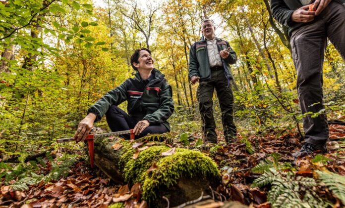 Silke Gorißen (CDU), Landwirtschaftsministerin von Nordrhein-Westfalen, macht sich ein Bild von den Inventur-Arbeiten im Wald. (Archivbild)