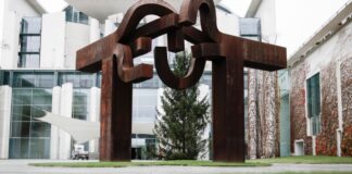 Jedes Jahr kommt der Weihnachtsbaum für das Kanzleramt aus einem anderen Bundesland. (Archivbild)