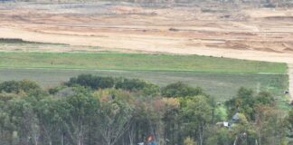 Polizei räumt besetztes Waldstück am Tagebau Hambach Die Polizei räumt das sogenannte Sündenwäldchen im Rheinischen Revier. (Archivbild)