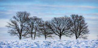 Das frostige, aber sonnige Wetter lockte viele Menschen nach draußen.