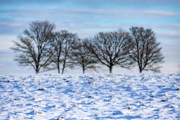 Das frostige, aber sonnige Wetter lockte viele Menschen nach draußen.