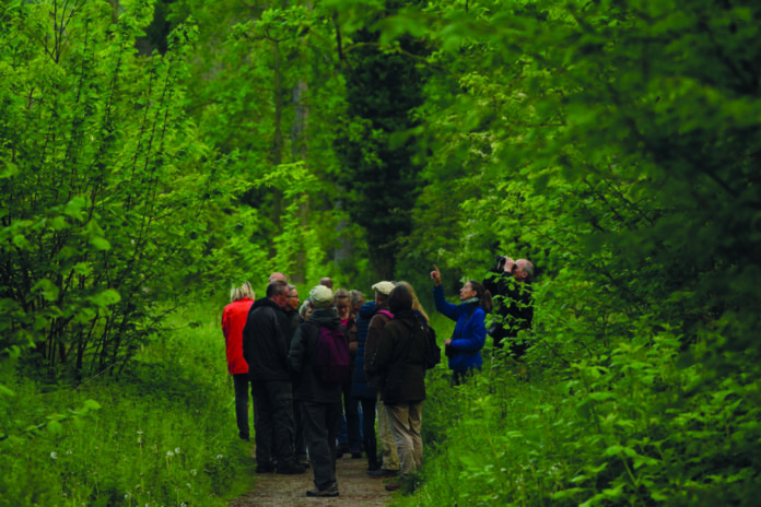 Teilnehmer einer Exkursion. Foto: Kreis Mettmann