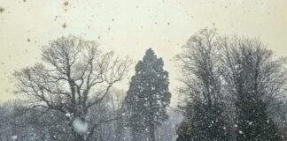 Die Tiere wissen sich im Winter meist besser zu helfen als der Mensch, Bild: Alexander Heinz