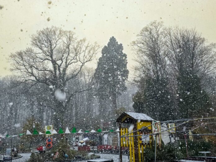 Die Tiere wissen sich im Winter meist besser zu helfen als der Mensch, Bild: Alexander Heinz