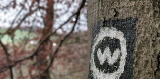 Erfahrene Wanderer aufgepasst: SGV sucht Wegemarkierer