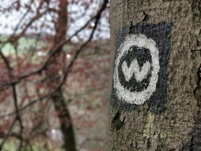 Wandern_Wanderweg_IMG_20211205_151723