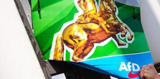 CDU-Vereinigung fordert Prüfung von möglichem AfD-Verbotsverfahrens Ein Plakat der AfD hängt an einem Mast. Foto: pixabay