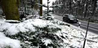 Schneefall in Mittelgebirgen und Alpen Nicht nur im Sauerland fielen zu Wochenbeginn erste Schneeflocken.