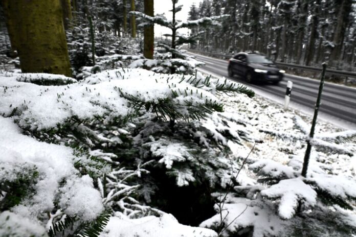Erster Schnee im Sauerland In den kommenden Tagen sinkt die Schneefallgrenze immer weiter.