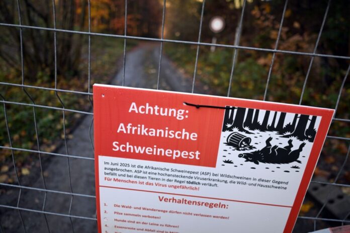 Schweinepest in Nordrhein-Westfalen Zäune sollen die Schweine lenken, Schilder die Besucher zum richtigen Verhalten im Ausbruchsgebiet anhalten.