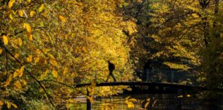 Am Donnerstag gibt es in NRW sonniges Wetter.