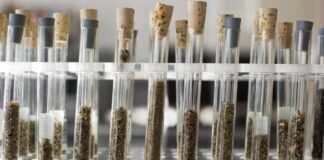 950 verschiedene Designerdrogen hat die Europäische Drogenagentur registriert. (Archivbild)