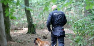 Mit großen Suchaktionen hatte die Polizei etwa im Altonaer Volkspark in Hamburg nach der vermissten Hilal gesucht. (Archivbild)