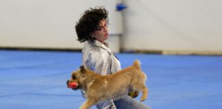 Wenn Hunde tanzen – Meisterschaft in Dog Dancing startet Auch dieses Jahr zeigen mehrere Mensch-Hund-Teams bei der Deutschen Meisterschaft ihr Können (Archivbild)