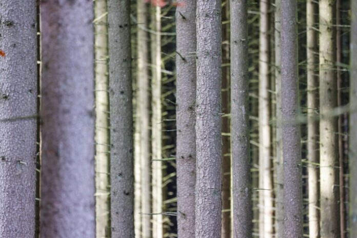 Wetterausblick zum Wochenstart Zu Beginn der neuen Woche wird es in Nordrhein-Westfalen deutlich kühler. (Symbolbild)