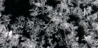 Erste Schneeflocken im Sauerland – Warnung vor Glätte Nach einem kalten Start in die neue Woche sind im Sauerland die ersten Schneeflocken gefallen. (Symbolbild)