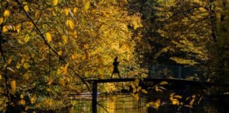 Mildes Herbstwetter bringt Sonne und Frost nach NRW Das Herbstwetter zeigt sich in den kommenden Tagen von seiner goldenen Seite. (Symbolbild)