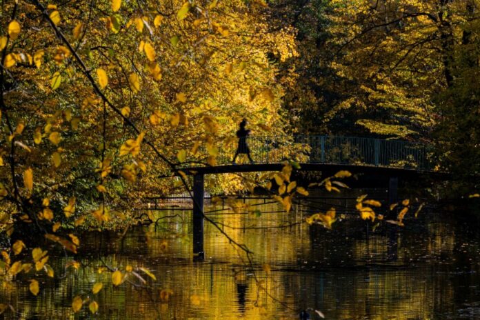 Sonne in Köln Das Herbstwetter zeigt sich in den kommenden Tagen von seiner goldenen Seite. (Symbolbild)