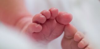 Ein Neugeborenes wurde im Park entdeckt und in Sicherheit gebracht. (Archivbild) 