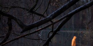 Nach eisigen Tagen könnte es in dieser Woche etwas wärmer werden. (Symbolbild)