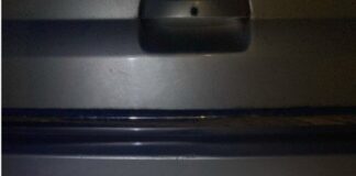 Auto abgemeldet – Fahrerin klebt Laub auf Kennzeichen Hat sich da Laub am Kennzeichen verfangen? Ein zweiter Blick zeigt: Das Blatt wurde aufgeklebt.