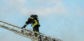 Mit der Drehleiter hat die Feuerwehr einen entflogenen Papagei vom Dach eines Hauses in Bocholt geholt. (Symbolbild)