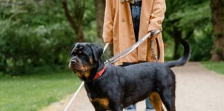 KI-Brille hilft Blinden und Sehbehinderten im Alltag