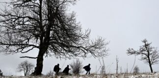 Auf dem Kahlen Asten liegt der erste Schnee des Jahres.