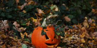 Halloween im Kreis Mettmann verläuft ruhig: Erkrath bleibt Problemzone Halloween wurde in den Städten im Kreis Mettmann überwiegend ruhig und friedlich gefeiert. Foto: pixabay