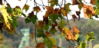 In NRW bleibt es für die Jahreszeit ungewöhnlich mild. (Archivbild)